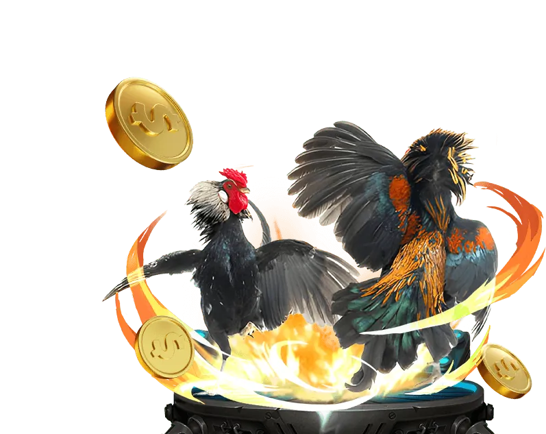 Hình ảnh chương trình VIP 123go